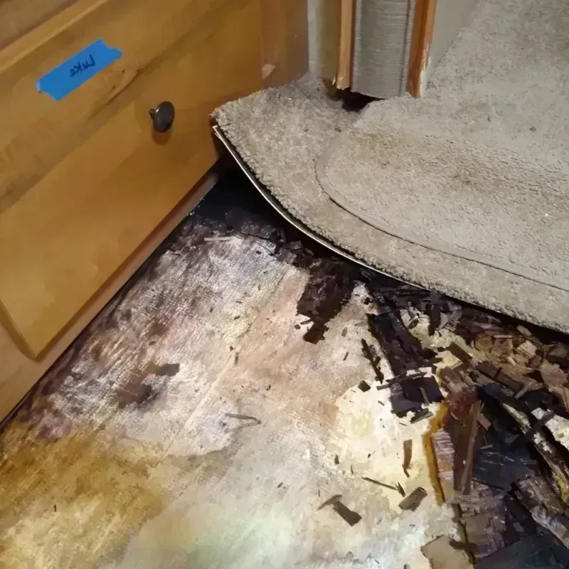 Best Wood Floor Water Damage Service in Centerville, PA